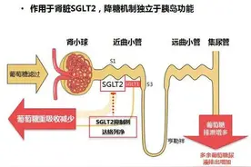 达格列净除降血糖外，还有这5种作用！图片