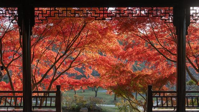 12月适合去的7个旅行地，美景交织，色彩鲜艳的明媚冬日
