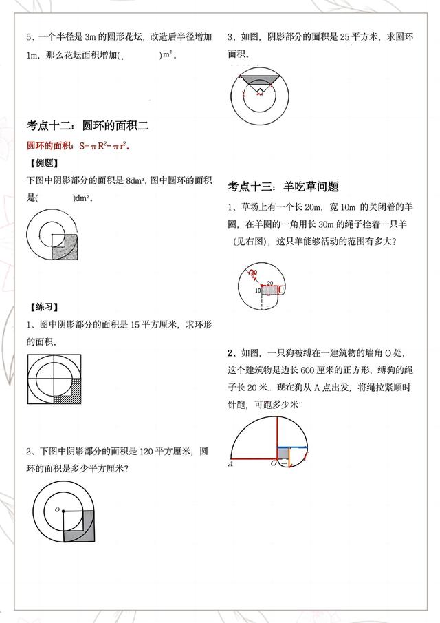 学霸同款：六年级上册数学圆的面积重点题型分类，暑假提前预习
