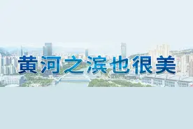 省市联动共建绿色屏障！兰州两山绿化取得阶段性成果图片