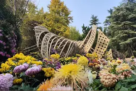 成都人民公园半日游图片