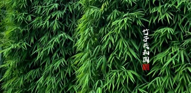 不要再去看黄果树瀑布了！
