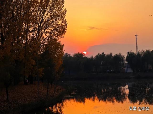 魏县:一卷斑斓 满城诗意