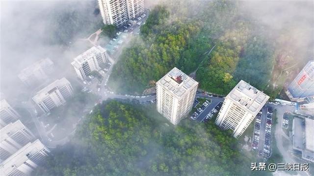 湖北宜昌：“候鸟族”点亮绿水青山