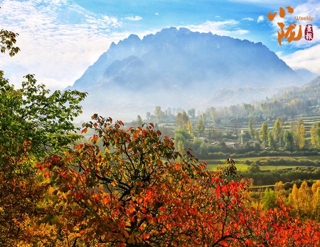 【小陇画报·430期】康乐：深秋美景如画卷 韵味盎然醉眼眸