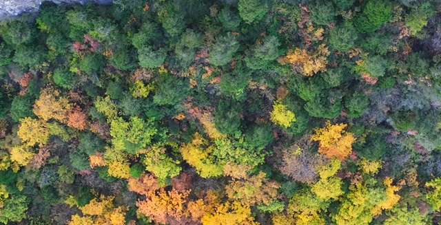 长治的金秋，何处最美？