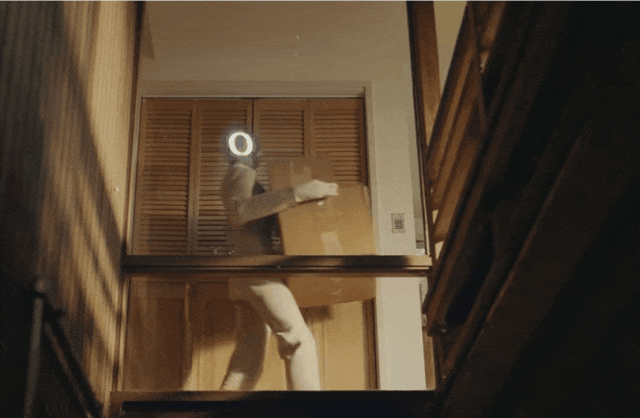 真·首个进家的人形机器人来了！两万美元，开启预定