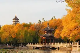 全网沸点｜京东校招落地天津；第七届进博会将于11月5日至10日在上海举办；国际货币基金组织警告......图片