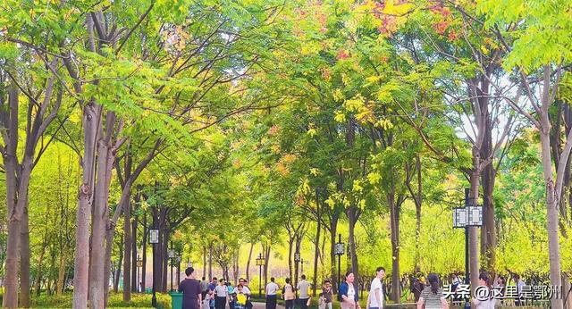 咔嚓🤳！抓住鄂州秋天的“小尾巴”~