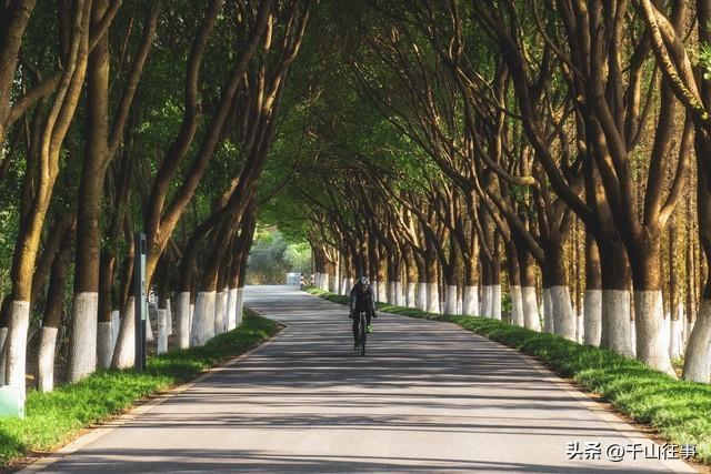 一个人骑车的早晨，才是成年人最顶级的放松方式，比躺平爽10倍！