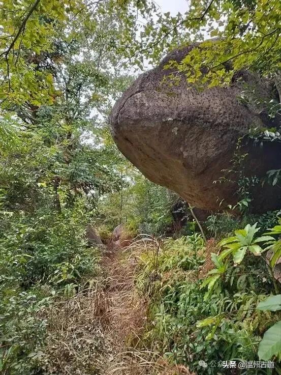 温州这条有着神奇传说、沉寂已久的千年古道，你可去过？