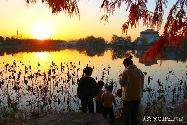 河南淮滨：湖畔杉红，游人来