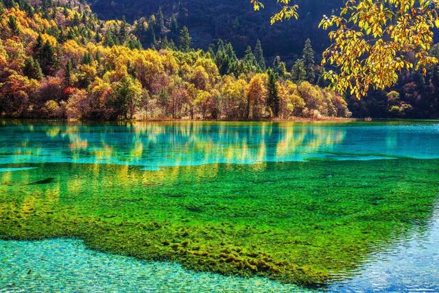 九寨沟的网红烤肠,打了多少景区的脸?