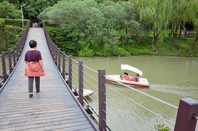 上海值得去的6个公园推荐！全部免费，好看又好玩！你都去过几个