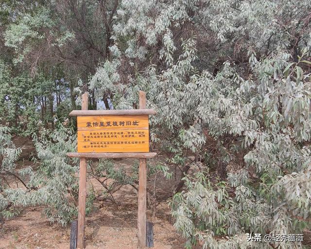 塞上江南宁夏，一个被严重低估的旅游大省