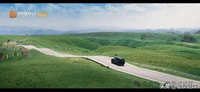 骑马、露营、看花海……这才是正确的打卡方式→