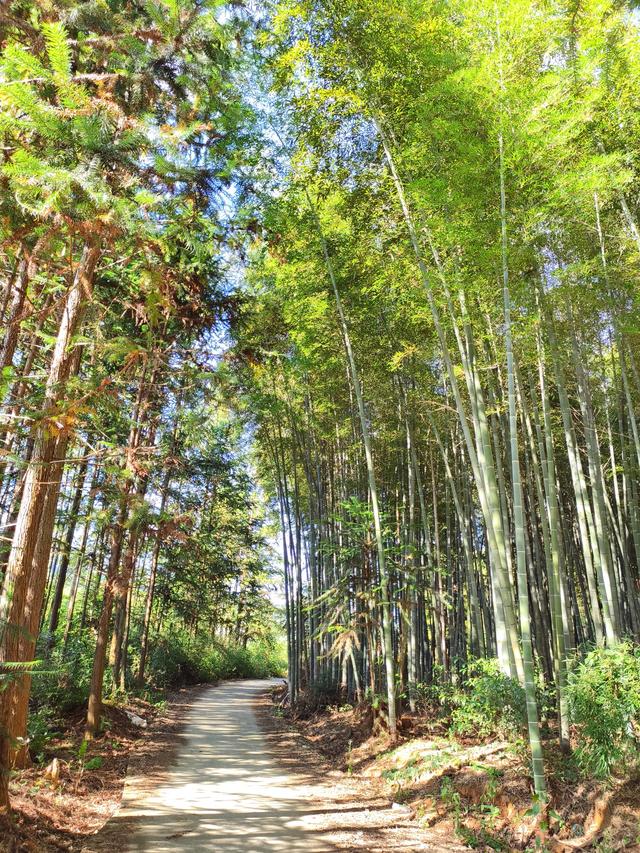 自驾邵武和平古镇三日游(十四) 2025·9·25-27