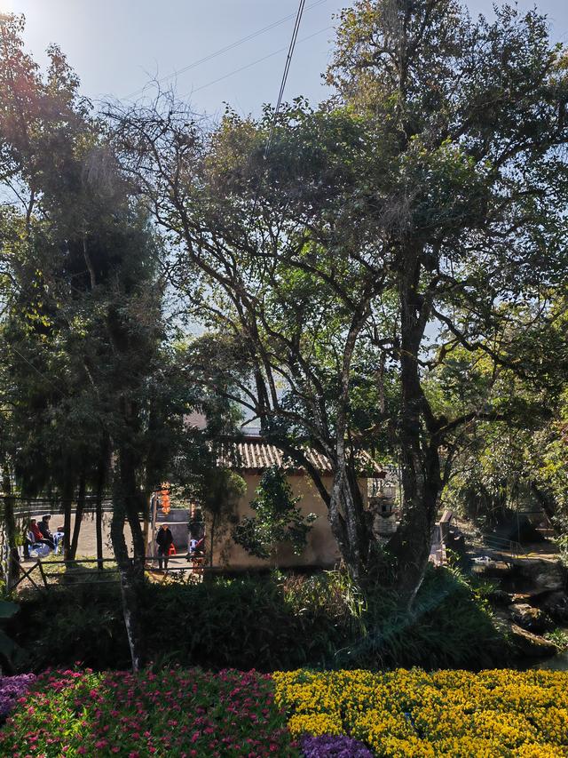 土楼拾光①:福建土楼景区——田螺坑片区（2025.2.9 漳州·南靖）