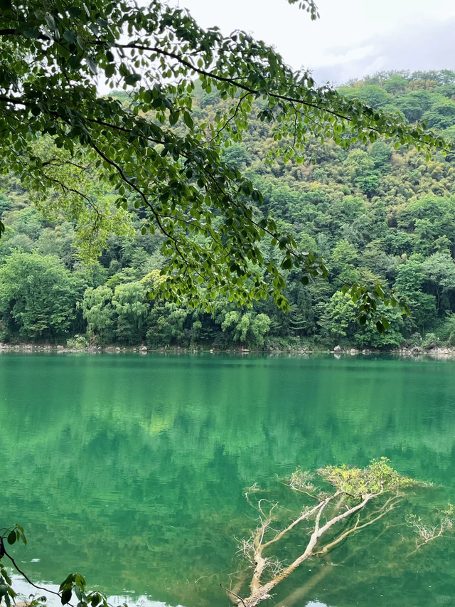 成都1.5h闯进免费"小九寨"，耍水露营钓鱼徒步，遛娃避暑N刷地！