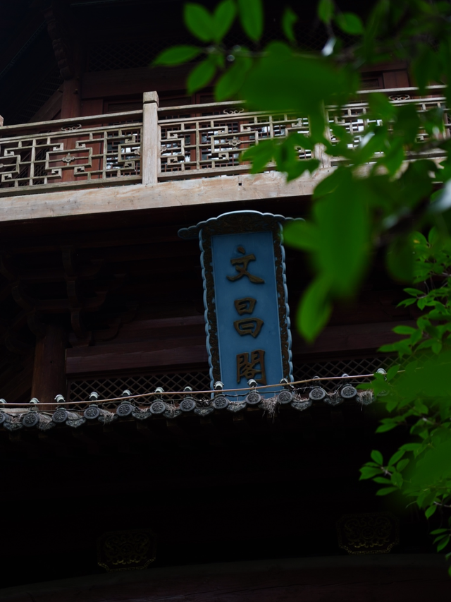 黄山治愈系打卡！20 分钟公园漫游，和“班味”说拜拜 | 皖美冬日 | 第十五届安徽国际文化旅游节