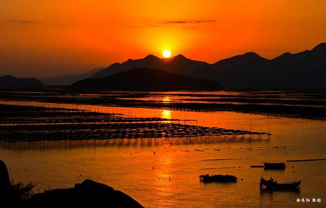 福建霞浦,金色的滩涂,蓝色的海