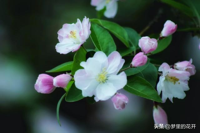封神级别的微信昵称，好听到爆，个个惊艳
