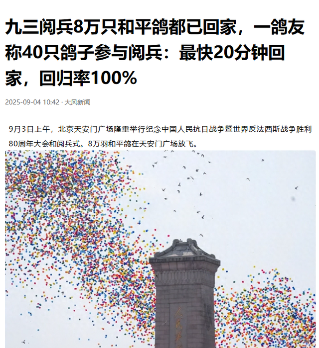 笑不活了！九三阅兵结束后鸽子走失，网友：你叔家20只 就回来4个