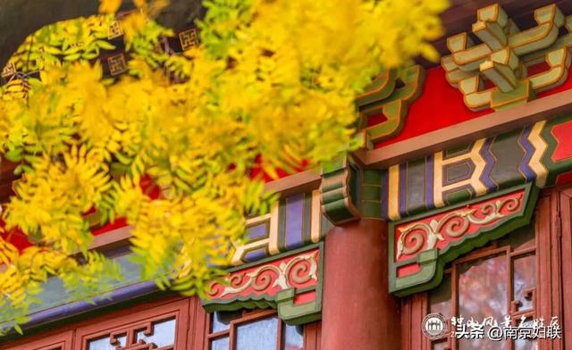 给个准信！盼了又盼的秋日“顶流”全部上线