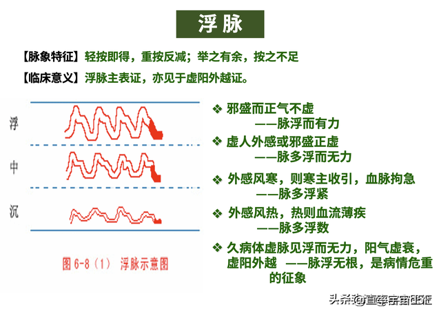 中诊入门：浮、散、革、芤脉，沉脉对比伏、牢脉，文末附《指法》