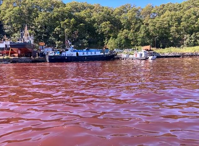 大凶之兆出现？圣经末日预言应验	，波斯湾海水血红色，怎么回事？