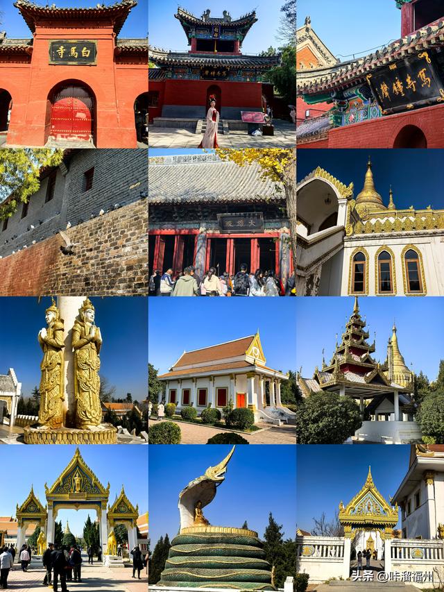 福州出发，老君山-洛阳-重庆3.5日特种兵旅游攻略，收藏好了