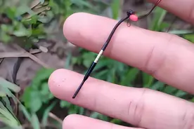 买到“假货”？钓友花六百新买的鱼竿，还没开竿绑个主线就断了！图片