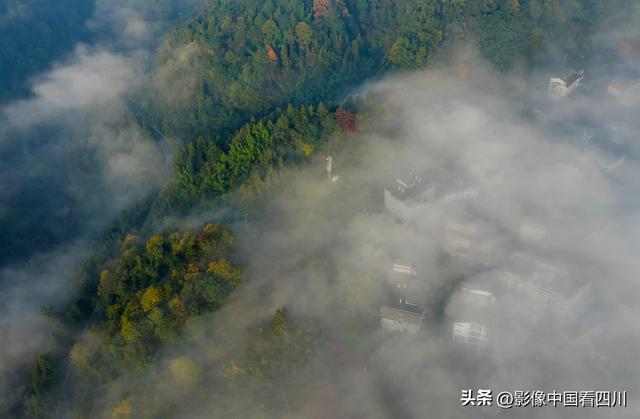 四川雅安：碧峰峡风光旖旎引客来