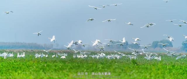 洞庭水乡·自在沅江｜沅江必打卡的宝藏地标