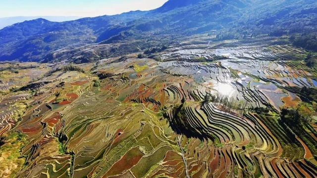 探秘“三遗产” | 人与自然长期互动的完美产物