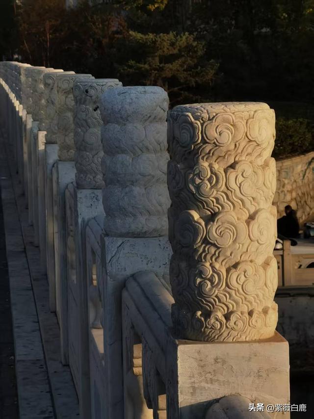 这个秋天，我在地坛