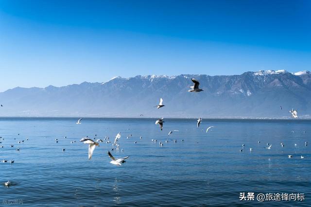 逃离酷暑，这6个避暑天堂自带20℃空调，本地人收藏的宝藏地方