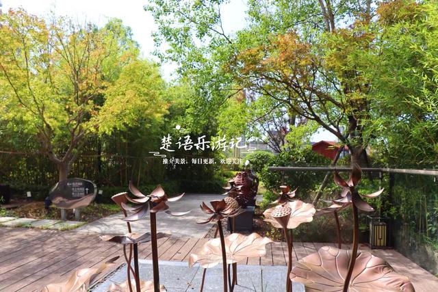 宁波慈溪这处风景被人忽略但很优美，即将迎来绚烂时刻，值得游玩