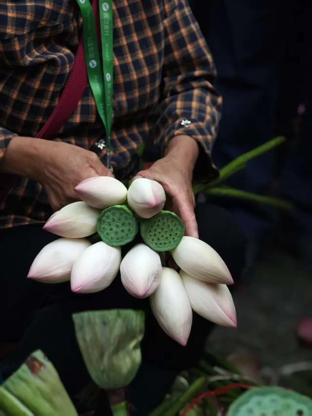 苏州这个市集，火上了央视！