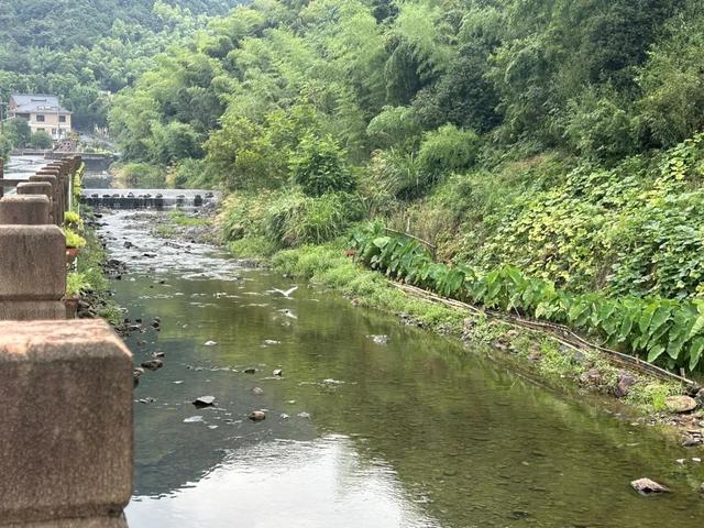车车车车车又堵上了！一到周末萧山这些村爆火，都是去玩水的，“皮艇都在排队”