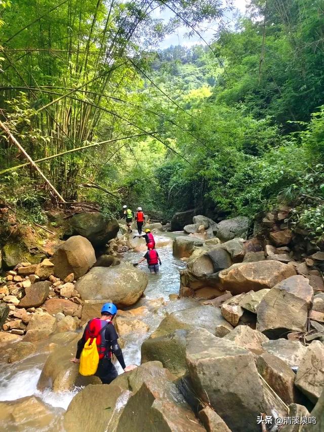 凤凰蛋石寄心愁