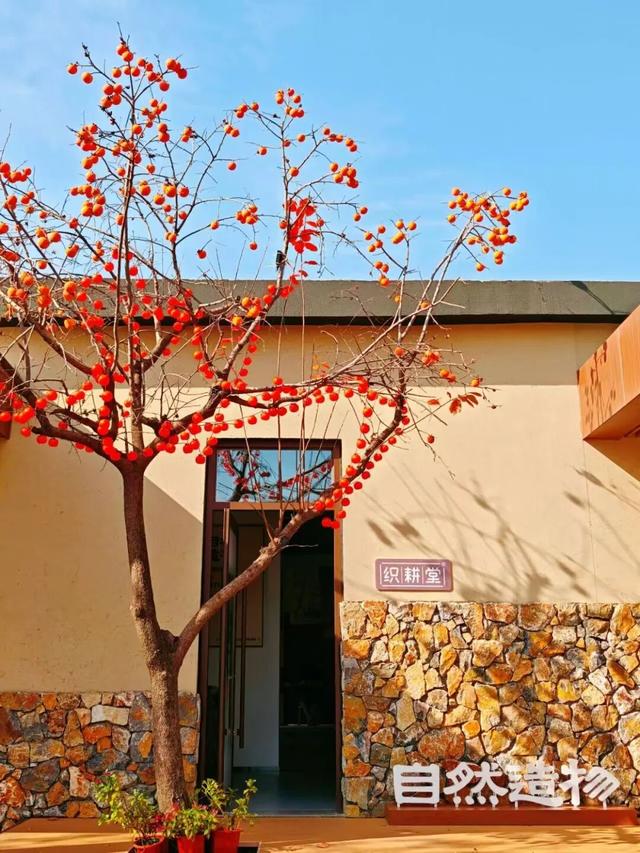 中医药、温泉、养生阿胶，济南的“康养密码”在这里！