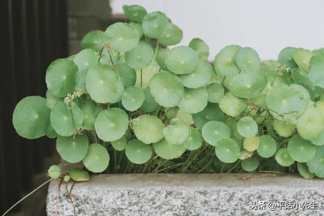 福建第一门户，应识古镇旧模样丨暴走福州