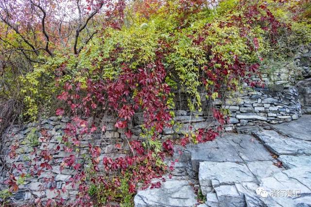 京郊游之坡峰岭