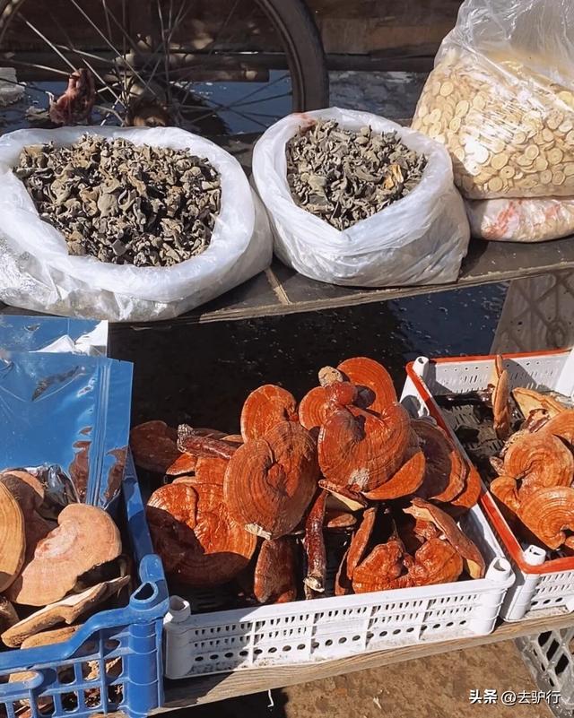 中国最冷的城市，一年9个月供暖，早市摆满野味，南方人羡慕了