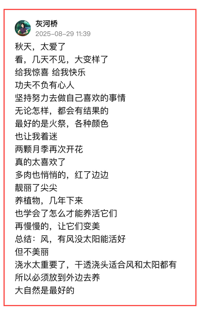 敢不敢来参加头条园艺pk赛