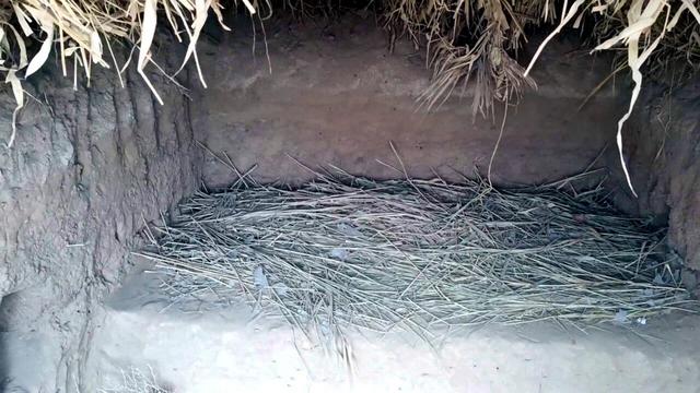 游览兵团遗址，追忆艰苦岁月——新疆哈密地窝子