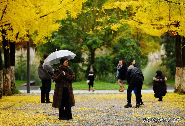 凉都六盘水银杏红叶点亮城市“金色童话”之约