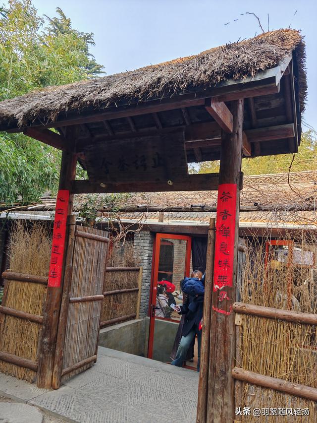 洛阳的美越来越精致