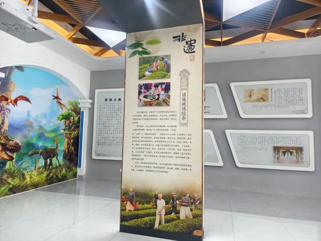 揭秘！诸城服务区为何能成为旅途中的“神秘打卡地”？